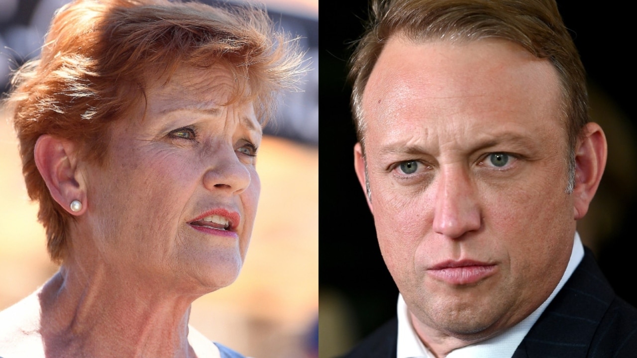 Pauline Hanson calls for Steven Miles to be 'held to account' on govt owned petrol stations