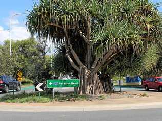 Noosa has more than 100 roundabouts