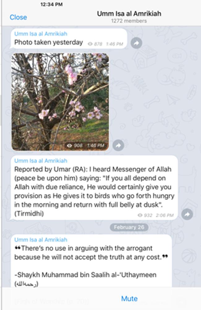 From the Telegram account of Shadi Jabar., known as Umm Isa Al Amrikiah.