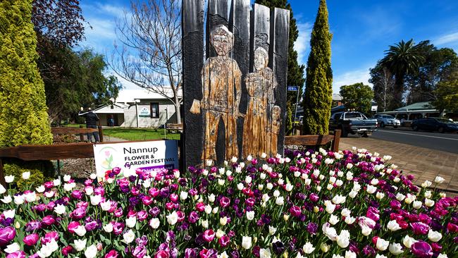 Nannup bursts into colour with masses of tulips and hyacinths in full bloom.