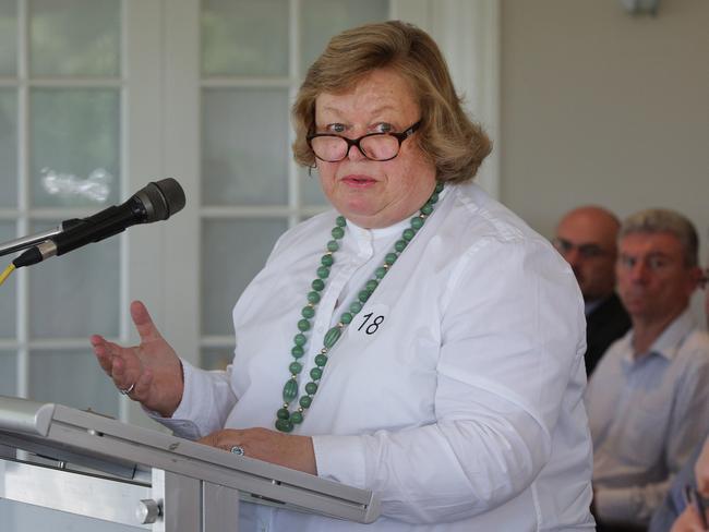 Kathy Cowley addresses a public inquiry meeting for residents about the proposed council merger of Ku-ring-gai and Hornsby. Picture: Virginia Young