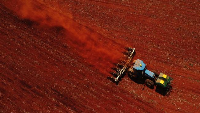 Rabobank expects total crop production to be near average for the 2024-25 winter season. Picture: Lachie Millard