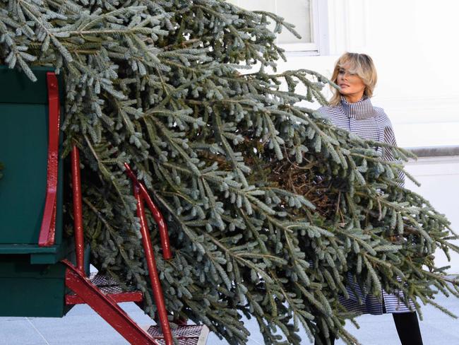 The First Lady was all smiles. Picture: Nicholas Kamm/AFP