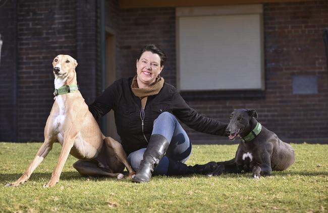 Ms Saker has spent her hard earned cash and valuable time caring for greyhounds discarded by the industry. Picture: AAP Image/Flavio Brancaleone