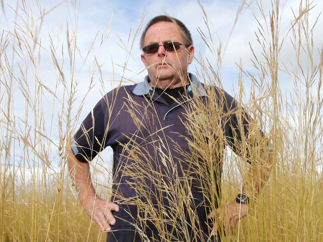 ATTENTION PICTURE TAKEN ON THE OLD SCHOOL GROUNDS. Kevin Carlson at the former Norlane High School where grass hasn't been slashed for about a year. Picture: Peter Ristevski