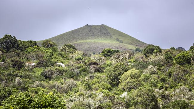 Galapagos Safari Camp is nestled into Santa Cruz island.