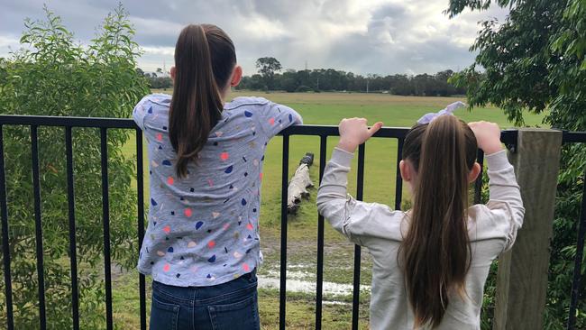 Jaylah, 11, and Chloe, 8, Newcombe would have a backyard view of the development form their Tingalpa home.