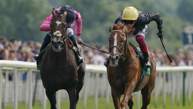 Spanish Mission (left) is one of the top Melbourne Cup hopes.