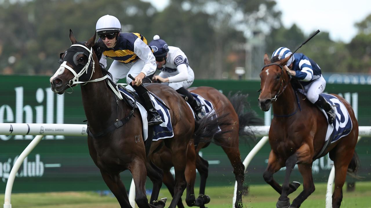 At The Track: Lloyd suspended on career best at Rosehill