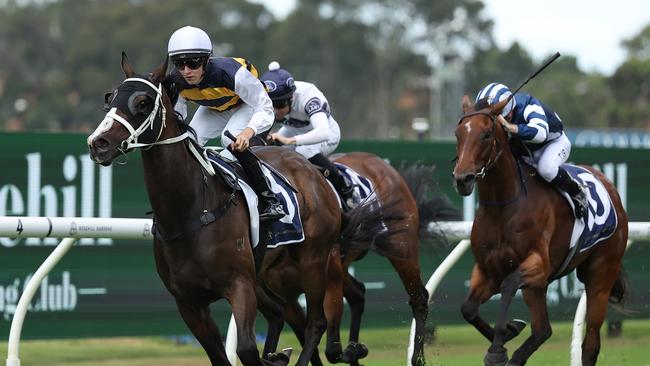 SYDNEY, AUSTRALIA - FEBRUARY 22: Zac Lloyd riding Step Aside win Race 3 Rosehill Bowling Club during Sydney Racing at Rosehill Gardens on February 22, 2025 in Sydney, Australia. (Photo by Jeremy Ng/Getty Images)