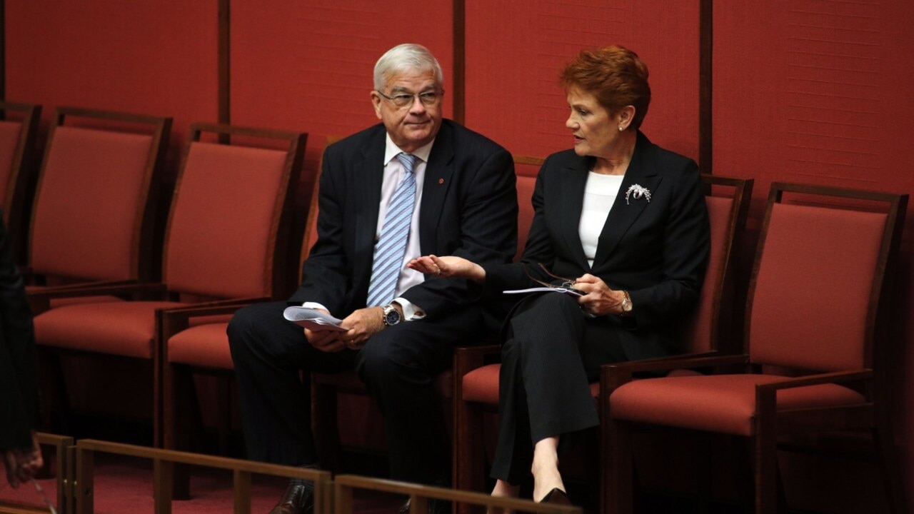 Burston accuses Hanson of sexual harassment whilst getting into altercation with Ashby