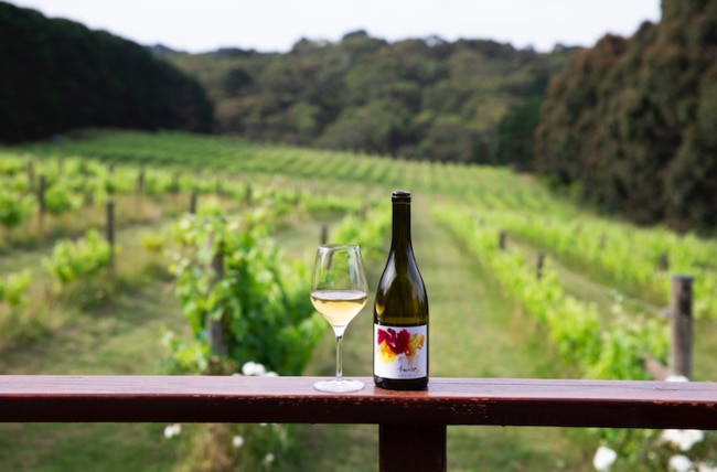 The Avani Wines summer series will bring Melbourne's best chefs to the Mornington Peninsula.