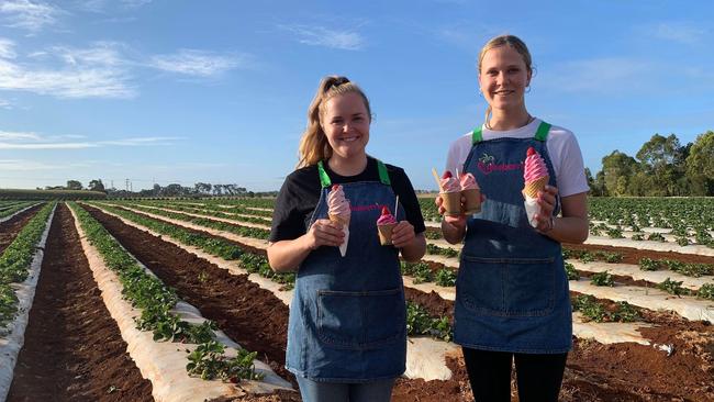 NEW FLAVOUR: Clemence Roudaut and Maddie Rehbein with some freshly made ice creams at Tinaberries.