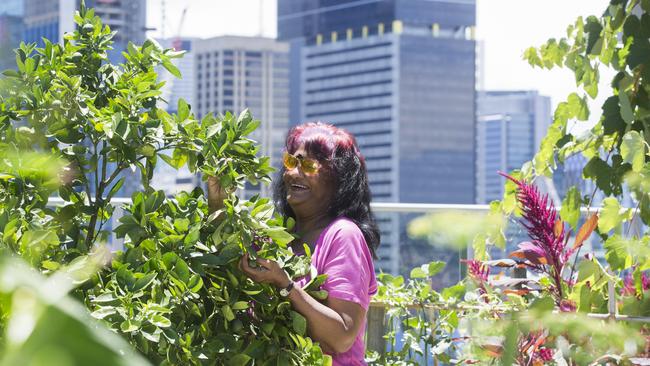 Common Ground Brisbane tenant Nilima Harjal enjoys the rooftop garden in 2017. Picture: Renae Droop