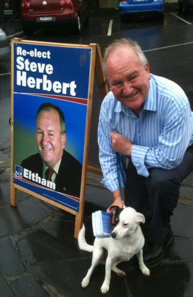 Steve Herbert.