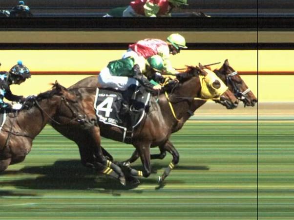 Melbourne Cup race pics finish