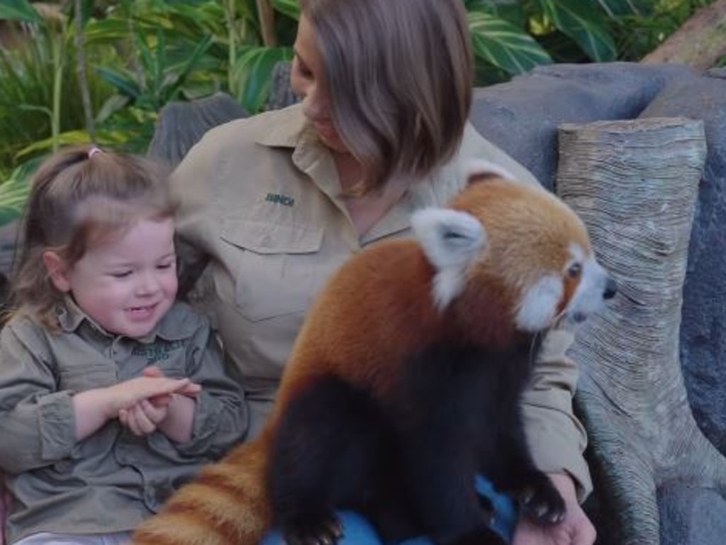 Irwin doubled down the next day, sharing video of the pair playing with the panda. Picture: Instagram