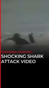 Police investigate shark attack video leak