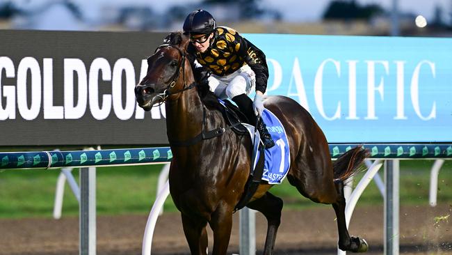 Zarastro couldn't be run down in the Magic Millions Snippets. Picture: Grant Peters - Trackside Photography