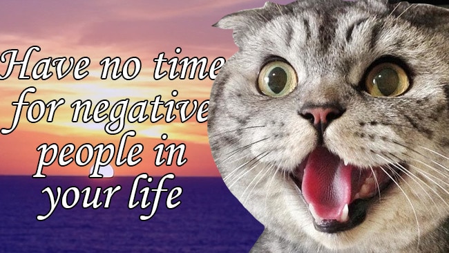 Facebook-Inspirational: No room for negative people but plenty of room for breeding cats.