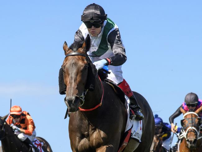 MELBOURNE, AUSTRALIA - FEBRUARY 24: Craig Williams riding Mr Brightside winning Race 7, the Lamaro's Hotel Futurity Stakes, during Melbourne Racing at Caulfield Racecourse on February 24, 2024 in Melbourne, Australia. (Photo by Vince Caligiuri/Getty Images)