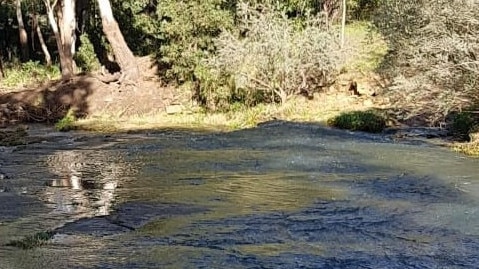 Edgars Creek a few kilometres downstream in Coburg North. Picture: EPA