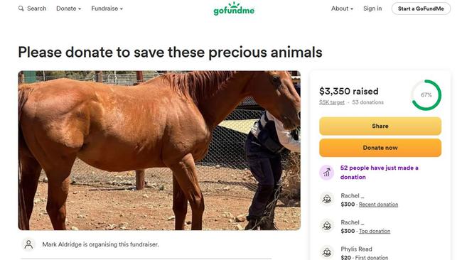 Mark Aldridge created a GoFundMe after an RSPCA raid on Morgan property. Picture: GoFundMe