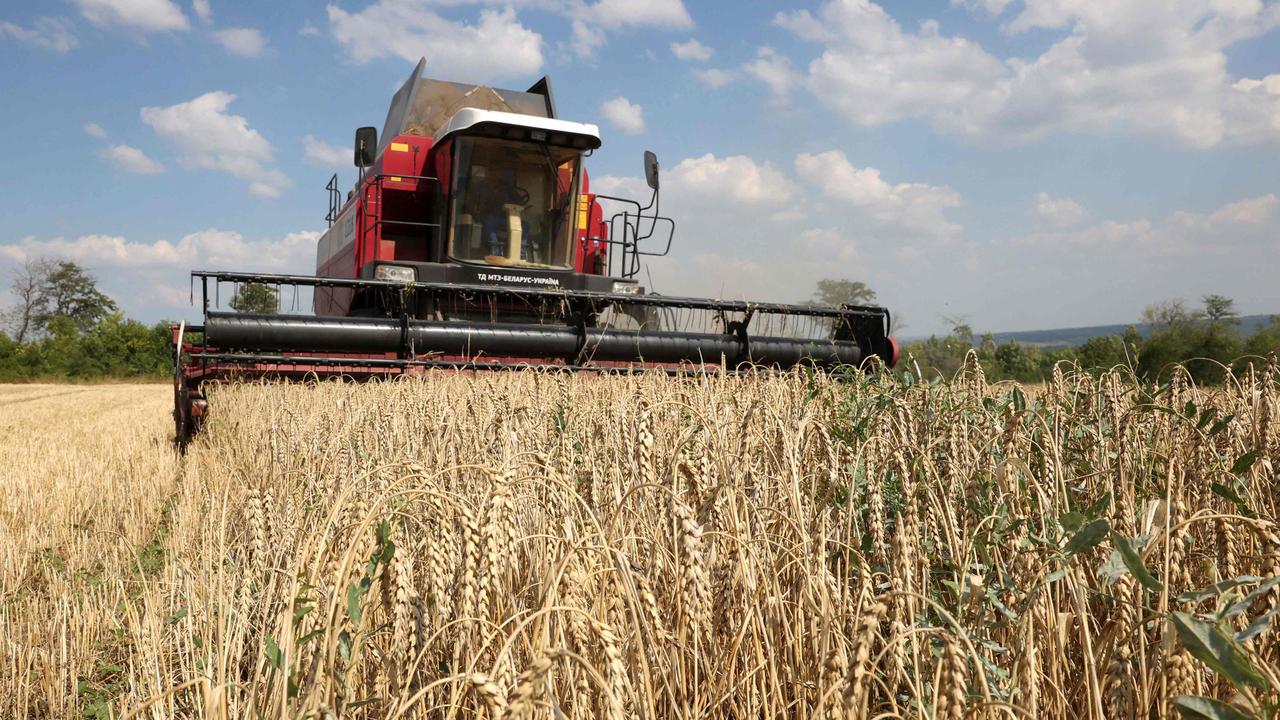 Known as the world's ‘bread basket’, Ukraine grows far more wheat than it consumes and its exports contribute to global food security, especially in African countries, which now fear food shortages. Picture: Anatolii Stepanov/AFP
