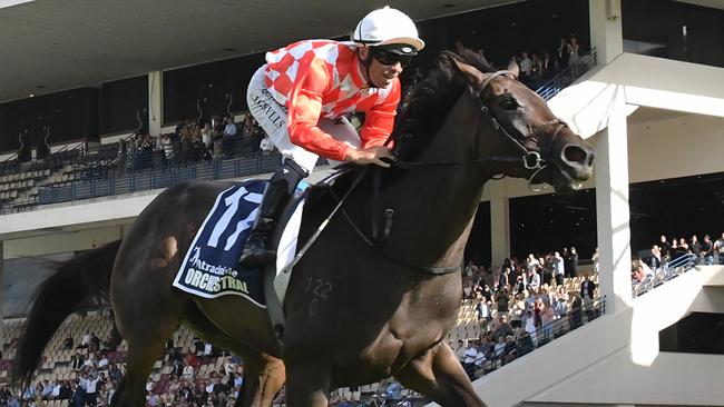 Orchestral will be “pretty hard to beat” in the Group 1 Vinery Stakes at Rosehill on Saturday.