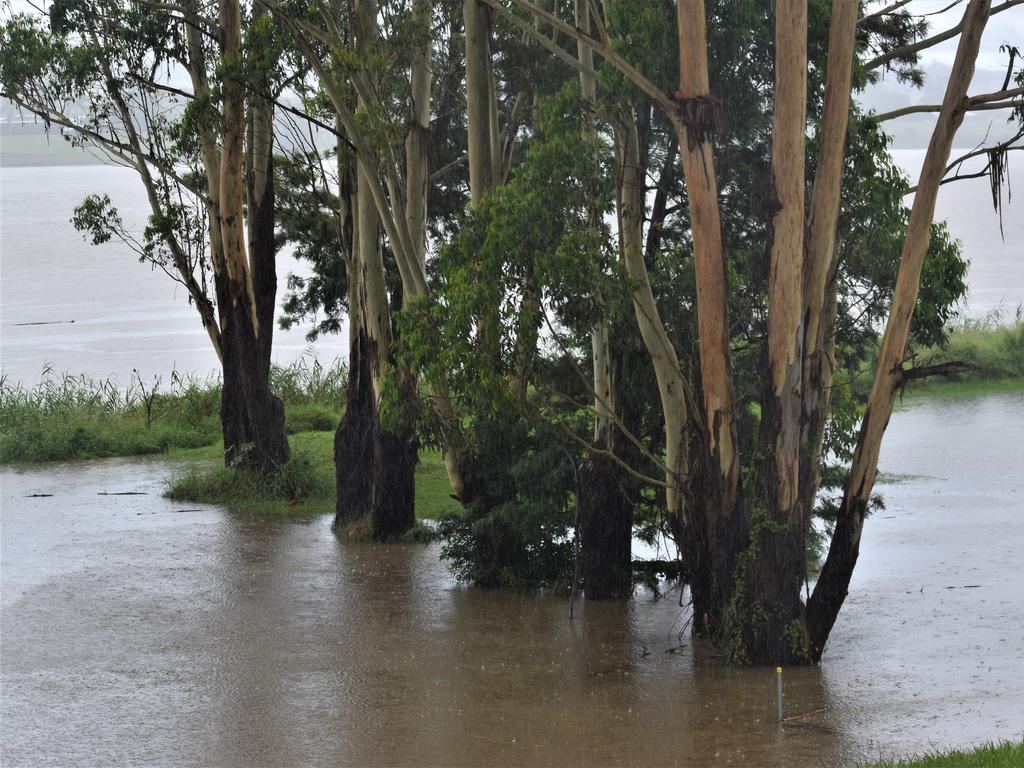 The Clarence River exceeded the 2.1m minor flood level at Grafton in the early afternoon on Wednesday, 16th December, 2020. Photo Bill North / The Daily Examiner