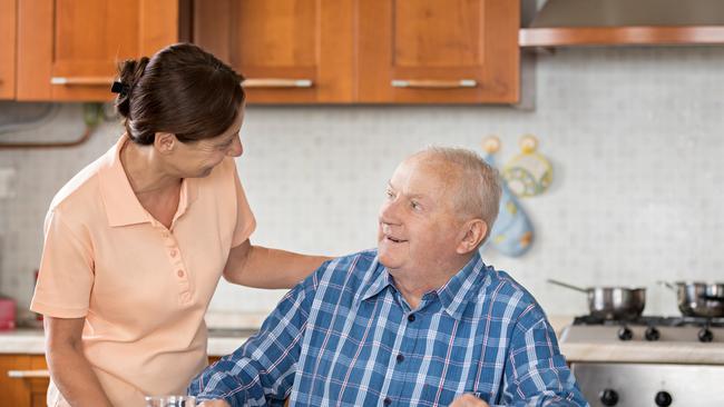 The service provides help to seniors in their home.