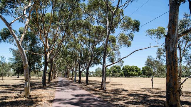 Golden Wattle Park, also known as Mirnu Wirra, is set to be the home of a new community sporting complex. AAP Image/ Morgan Sette