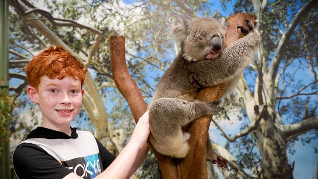 Jaton Cassar, 9, from St Clair on Australia Day 2019. Picture: Angelo Velardo