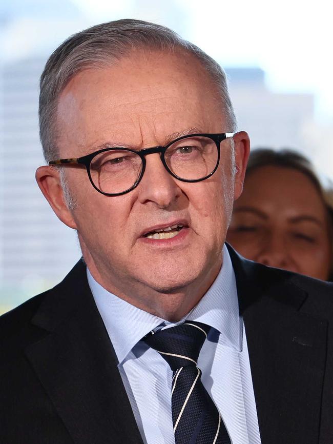 Anthony Albanese. Picture: Tertius Pickard
