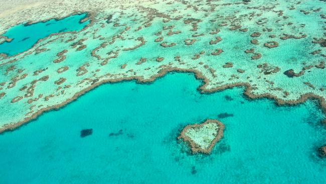 Community members can take action on a local level to help protect the Great Barrier Reef. Picture: Tourism Whitsundays