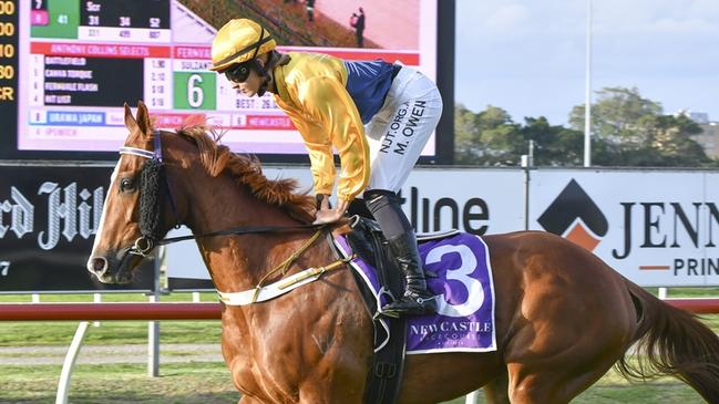 Strobing is looking to book his place in next year's Big Dance with a win in the Taree Good Cup on Sunday. Picture: Bradley Photos