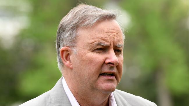 Anthony Albanese declared he was proud Labor had “consistently supported strong action on climate change”. Picture: AAP