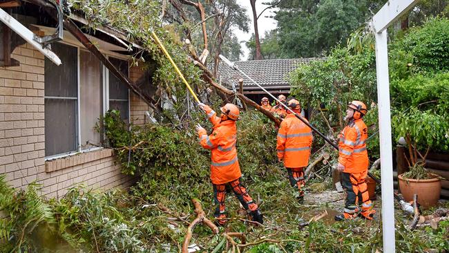 Hornsby SES volunteers remove a large gum tree which fell across two homes at Thornleigh. Picture: AAP