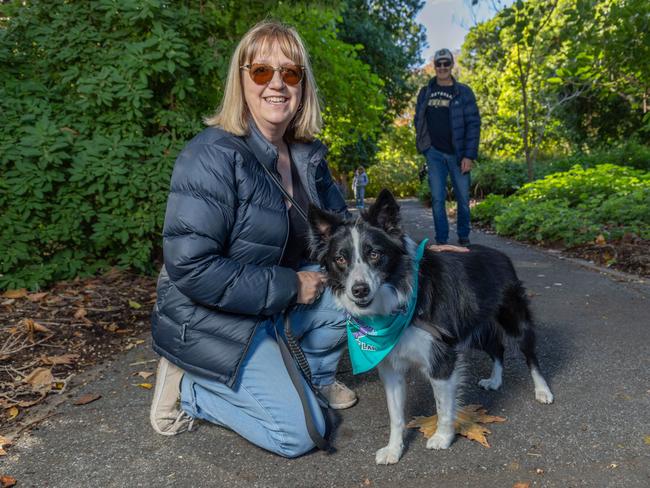 RSPCA SA's Million Paws Walk in Adelaide on May 25, 2025. Picture: Ben Clark