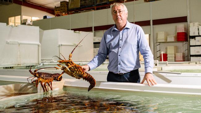 Andrew Ferguson from the Ferguson Australia Group. Picture: Morgan Sette/The Australian