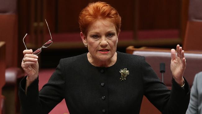 Senator Pauline Hanson: ‘Knock back your pay rises’. Picture: Kym Smith.