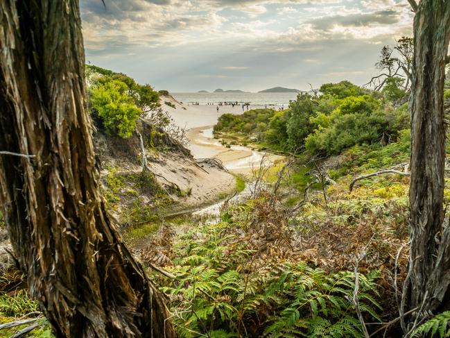 Squeaky beach seen from the forest in Wilsons prom.Escape 2 April 2023Hotlist Family bucket listsPhoto - Picture: iStock