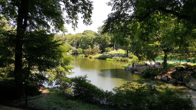 Accurate exposure ... A photograph of Central Park taken with a Samsung Galaxy Note 5 smartphone in New York City shortly after its worldwide launch. Picture: Jennifer Dudley-Nicholson