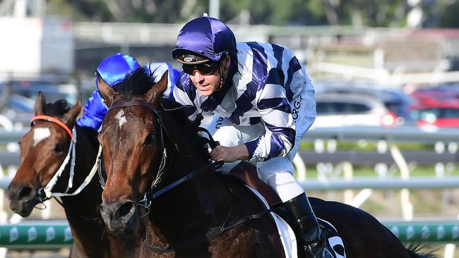 Desert Lord winning at Eagle Farm. Picture: Trackside Photograjhy