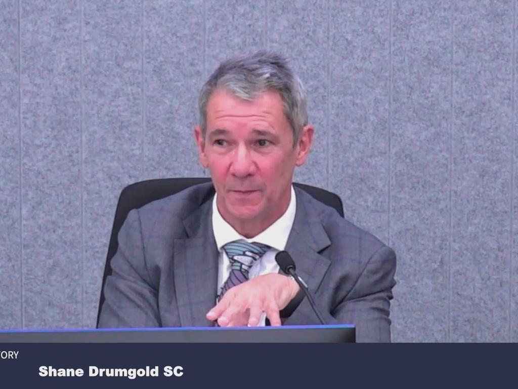 Wilkinson refutes DPP claims over Logies speech