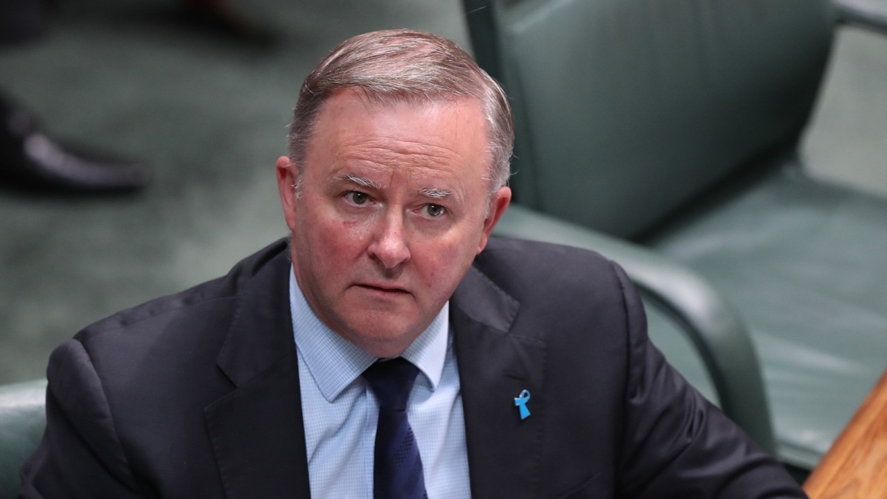 Albanese has revealed a ‘fundamental policy problem’ in the Labor Party