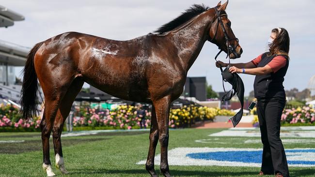 Been here before as True Self makes it consecutive wins in the Queen Elizabeth Stakes.