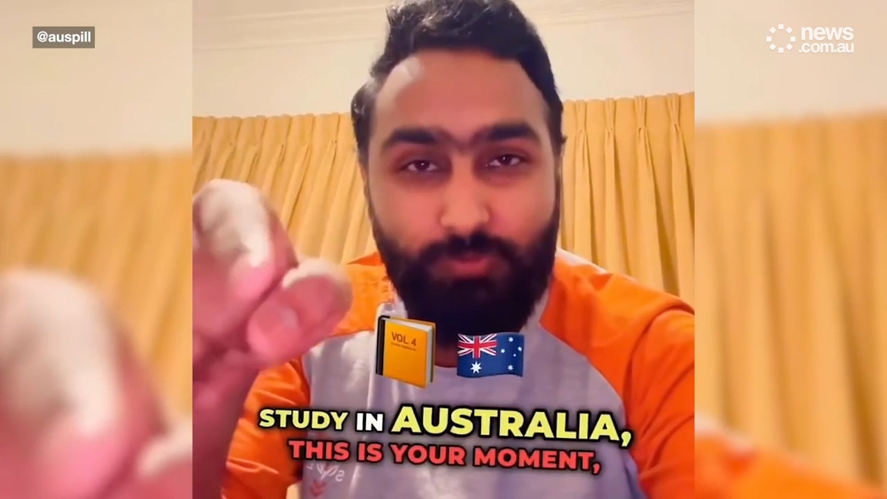 International students celebrate Albo victory