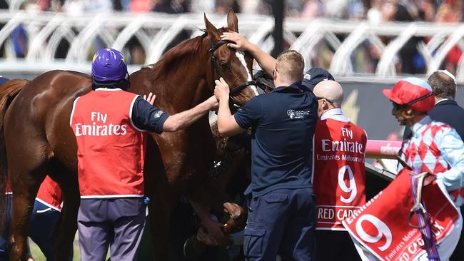 Red Cadeaux ‘alive and well’