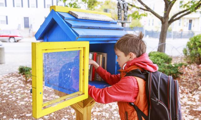 little free street library. schoolboy choosing a book to borrow